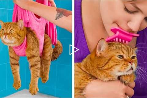 I TRIED THESE GADGETS ON MY CAT AND DOG | Clever Hacks And Cute DIY Crafts For Your Pets