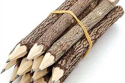 BSIRI Pencil Wood Favors of Graphite Wooden Tree Rustic Twig Pencils Unique Birch of 12 Camping..