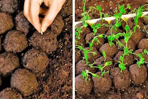 Incredible Plants Hacks And Gardening Tips