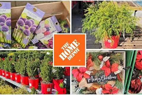 Home Depot November Inventory Holiday Plants, Holiday Decor & Clearance Bulbs 2023. Plant..