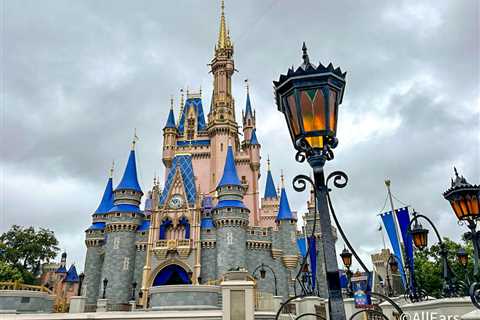 What Wait Times Look Like in Disney World After a Hurricane