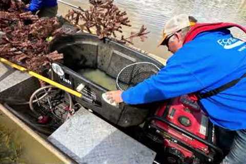 Fish Inspection Time! Foster Lake Management Inspection